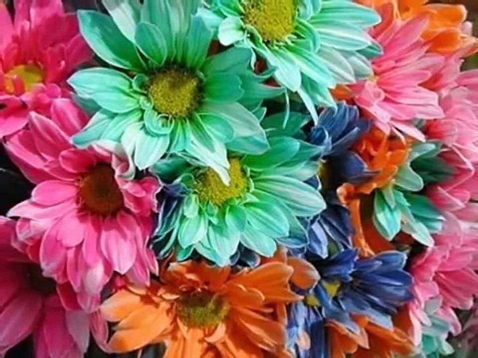 Hildegard Knef-Sag mir wo die Blumen sind