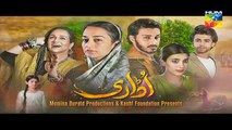 Udaari Episode 4 HD Promo Hum TV Drama 24 April 2016