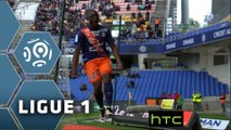 But Jérôme ROUSSILLON (14ème) / Montpellier Hérault SC - ESTAC Troyes - (4-1) - (MHSC-ESTAC) / 2015-16