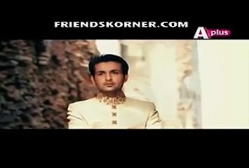 Bhai Episode 24 - FULL A PLUS DRAMA 24 APRIL 2016