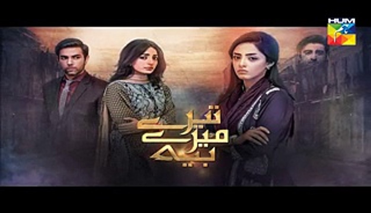 Tere Mere Beech Episode 22 Full Hum TV Drama 24 April 2016