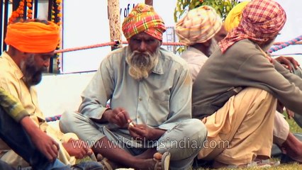 Indian village sports = the Rural Olympics of Punjab!