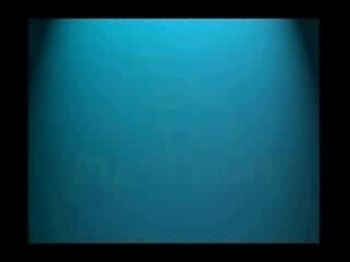 BREVES INSTANTES  XV JORNADAS MUSICALES DE VALLECAS