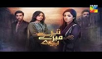 Tere Mere Beech Episode 22 Full Hum TV Drama 24 April 2016