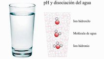 pH y disociación del agua