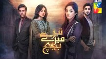 Tere Mere Beech Episode 22 Full Hum TV Drama 24 April 2016 -