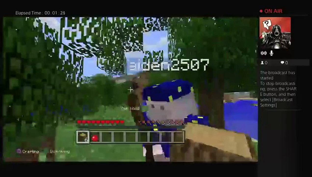 Minecraft (3)