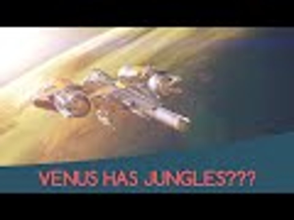 VEDA DAY 4 | DESTINY | VENUS HAS JUNGLES???