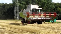 Claas Lexion 570 V8 Power wheat harvesting in Germany