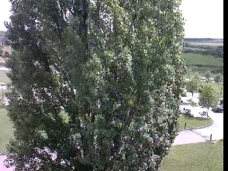 Attention à vos tetes !