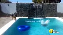 dog saves owner from drowning