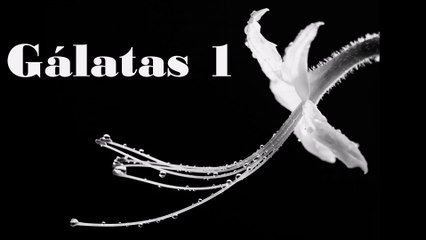 Gálatas - 01