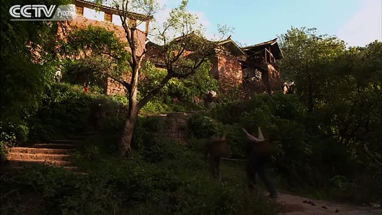 Китай на кончике языка1 Дары природы