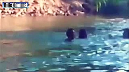GIANT SNAKE KILLS TEEN GIRLS - Fake or Real