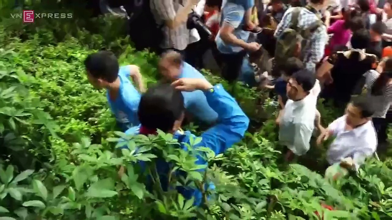 THẢM HỌA ngày giỗ Tổ Hùng Vương 10-3