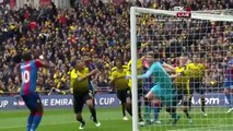 All Goals HD - Crystal Palace 2-1 Watford - 24-04-2016 FA Cup
