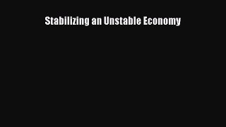Book Stabilizing an Unstable Economy Read Full Ebook