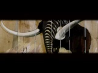 Tagh et les Pisteurs-spectacle