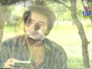 Gian hon - Che linh,Huong lan