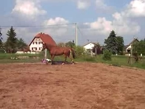 Loustic au saut et moi qui le boost..=D