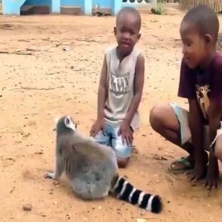 lovely animals
