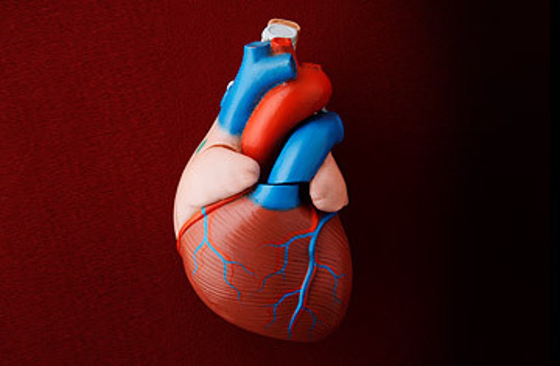 Hypertension Causes, Types, Causes, Symptoms and Treatment