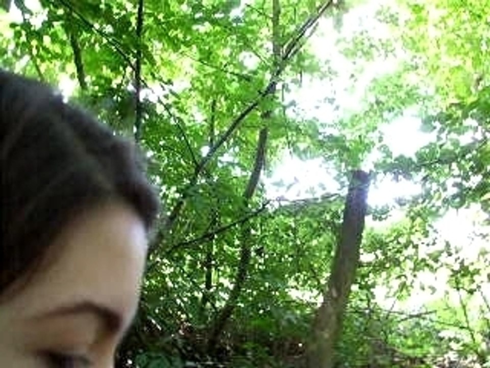 la foret