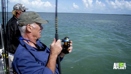 Fishing Can Be a Race Against Line