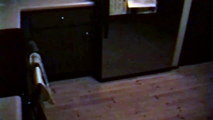 Ce chien avait une petite faim en pleine nuit