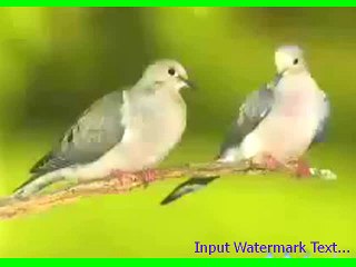 44-MOLANA TARIQ JAMEEL BAYAN IN FAISAL MASJID ISLAMABAD