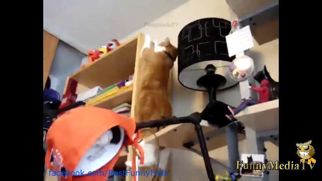 The Ultimate Fail, Win and Funny pranks Mega Compilation part 106