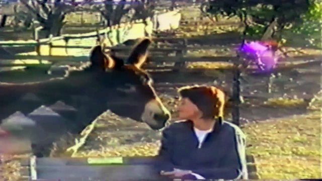 18 Unexpected Sneezes That Shook the Earth