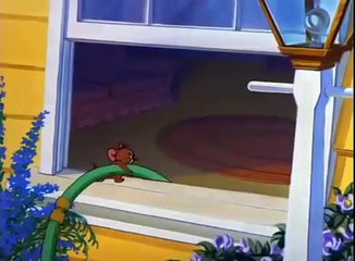 Tom and Jerry - Puss-button Kitty