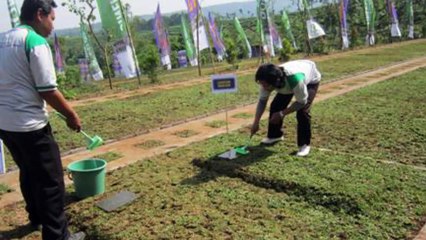 085100042009 (Tsel), Pengelolaan Wakaf, Tanah Wakaf, Pemakaman Muslim Sinergi Foundation