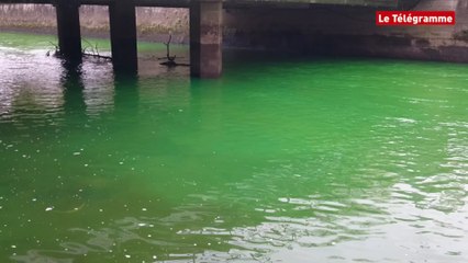 Download Video: Quimper. Odet colorée en vert : une action des agents de l'Environnement