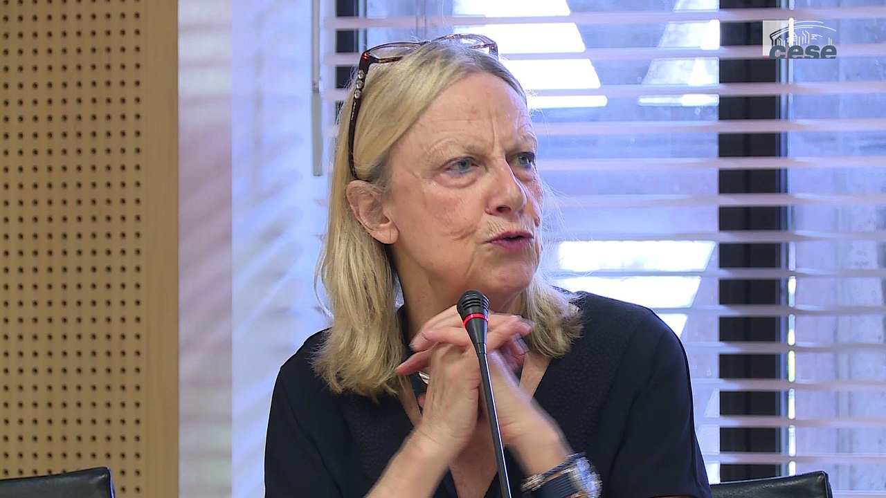 Audition de Brigitte GRÉSY (Conseil supérieur de l’égalité professionnelle entre les femmes et les hommes) - cese