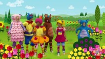 Hello Hello Hello and More | Nursery Rhymes from Mother Goose Club!