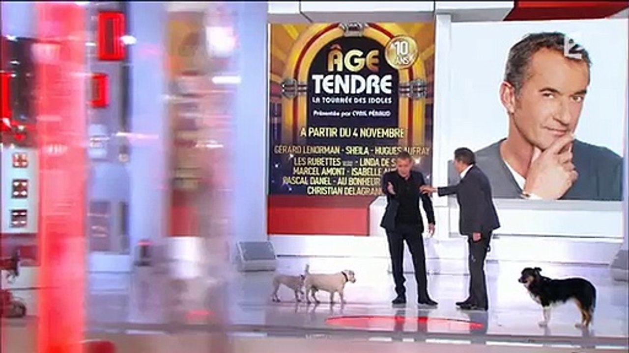 Surréaliste : Dechavanne et Drucker parlent de leurs chiens dans "Vivement dimanche"