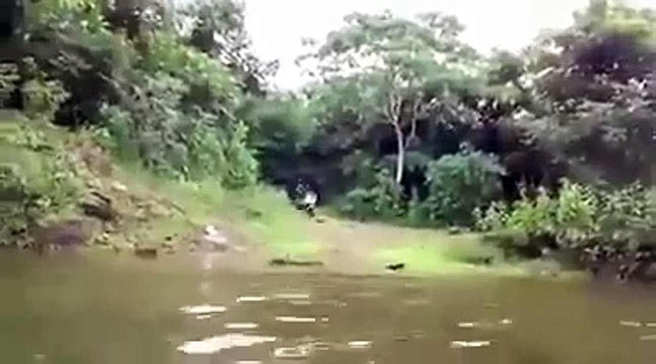 Video Lucu biker Kena Tipu