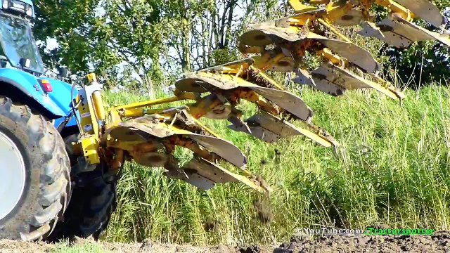 Planting Tulip Bulbs / Tulpenbollen planten, New Holland Bonanza - Maliepaard Bloembollen