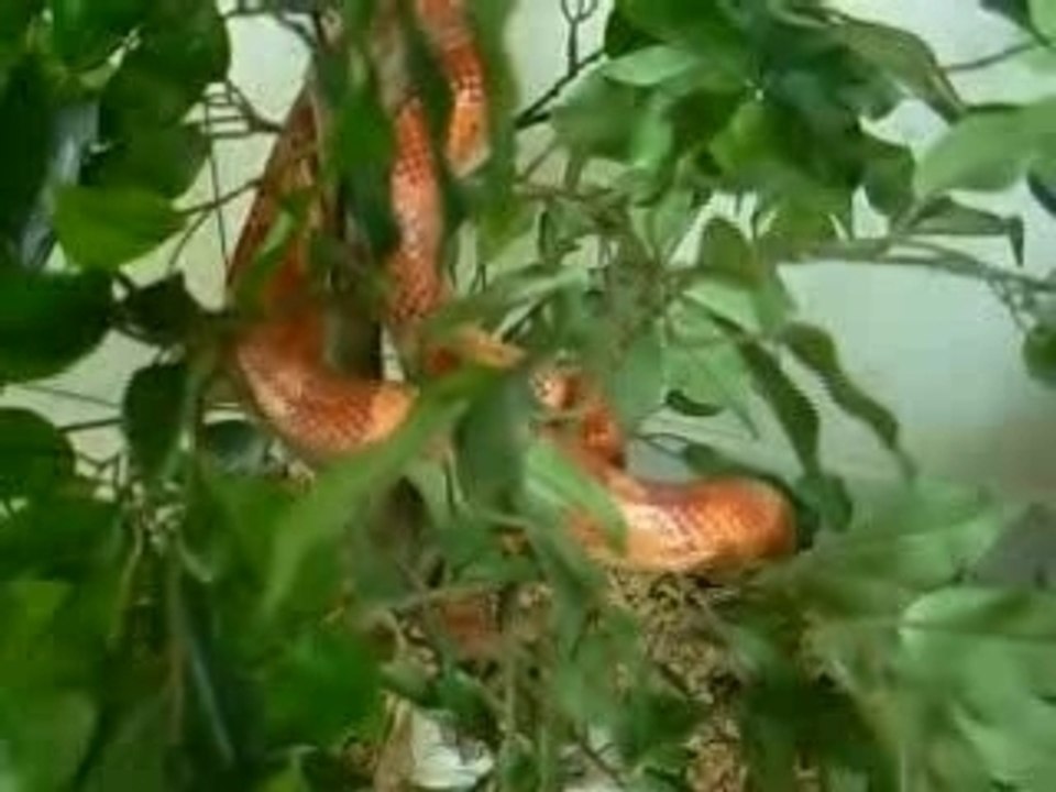 Kama&sutra