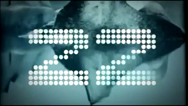 Ровно через 30 секунд, Твоя жизнь изменится