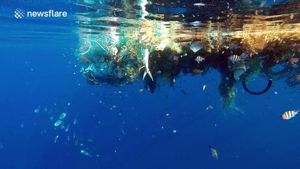 Underwater footage of a huge abandoned fishing net in the ocean