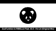 ZooFunktion & RIBELLU Feat. iE Z Its Lit (Original Mix)