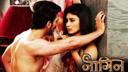 Ritik & Shivanya To CONSUMMATE Their Marriage | Naagin | 1st May 2016