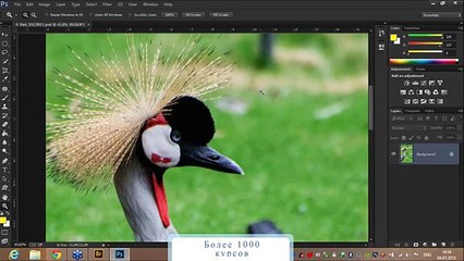 Новые возможности Adobe Creative Cloud 128
