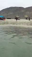 most funny jumped in the water must see