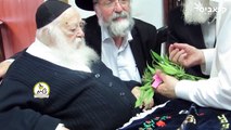 Le rabbin Chaim Kanievsky bénit la plante de cannabis pour Pâques (2016) (STFR)