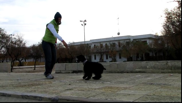 Иди туда не знаю куда, найди то не знаю что.