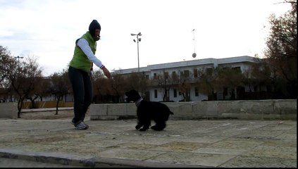 Иди туда не знаю куда, найди то не знаю что.
